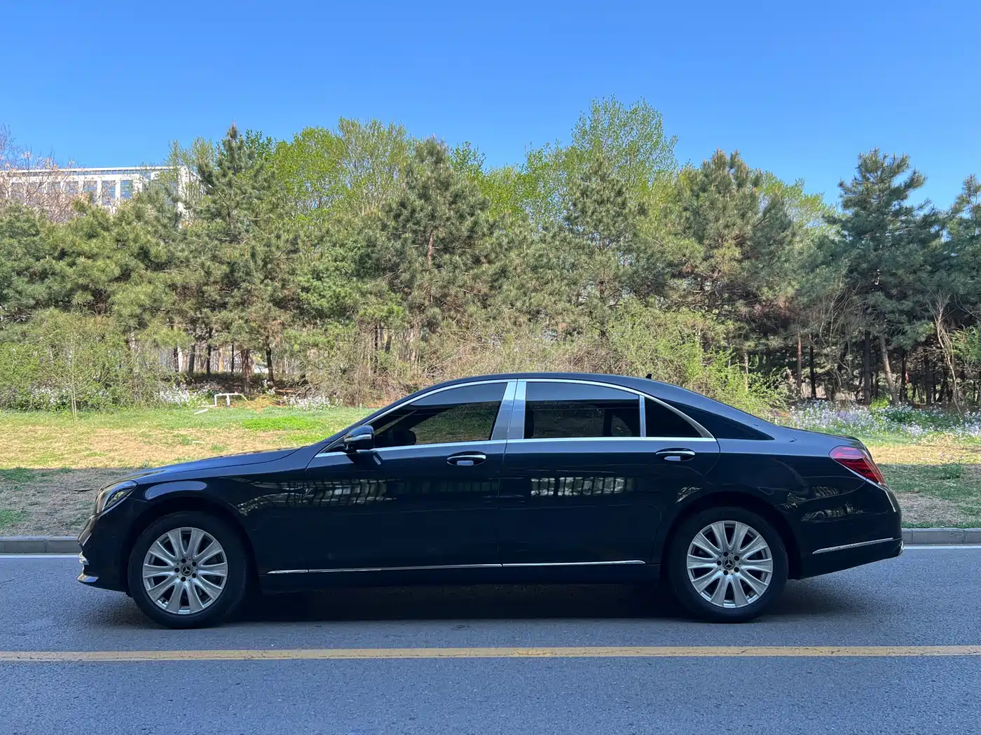 Mercedes-Benz S-Class 2018 S 350 L фото 4