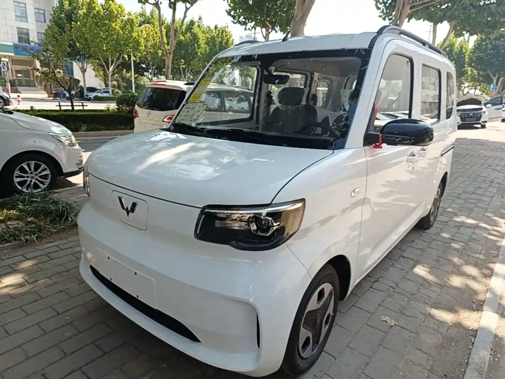 Wuling Motors Wuling Zhiguang NEV 2026 2025 Model 305km Base Version