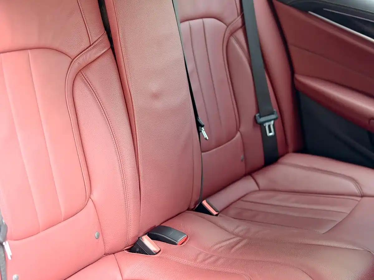 BMW 5 Series 2020 530Li Leading M Sport Package фото 9