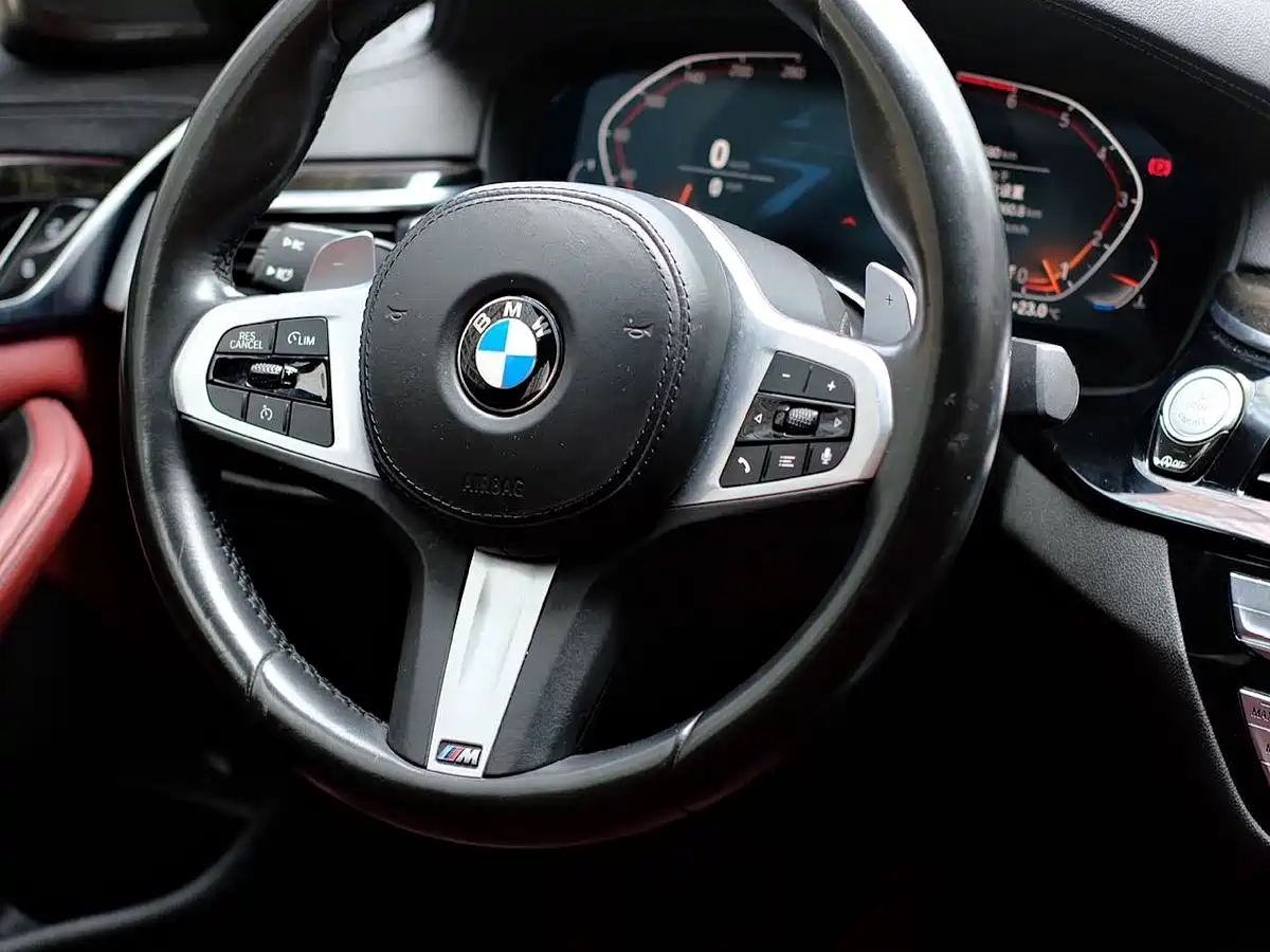 BMW 5 Series 2020 530Li Leading M Sport Package фото 7