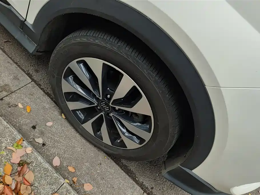 WEIMA AUTOMOBILE WEIMA EX5