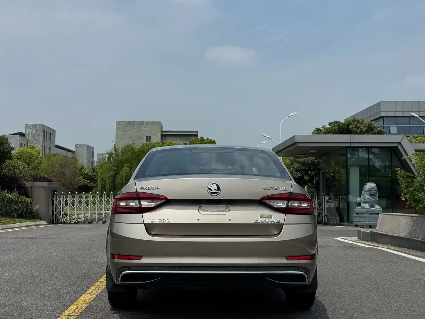Škoda Octavia 2018 TSI230 DSG Luxury Edition фото 8