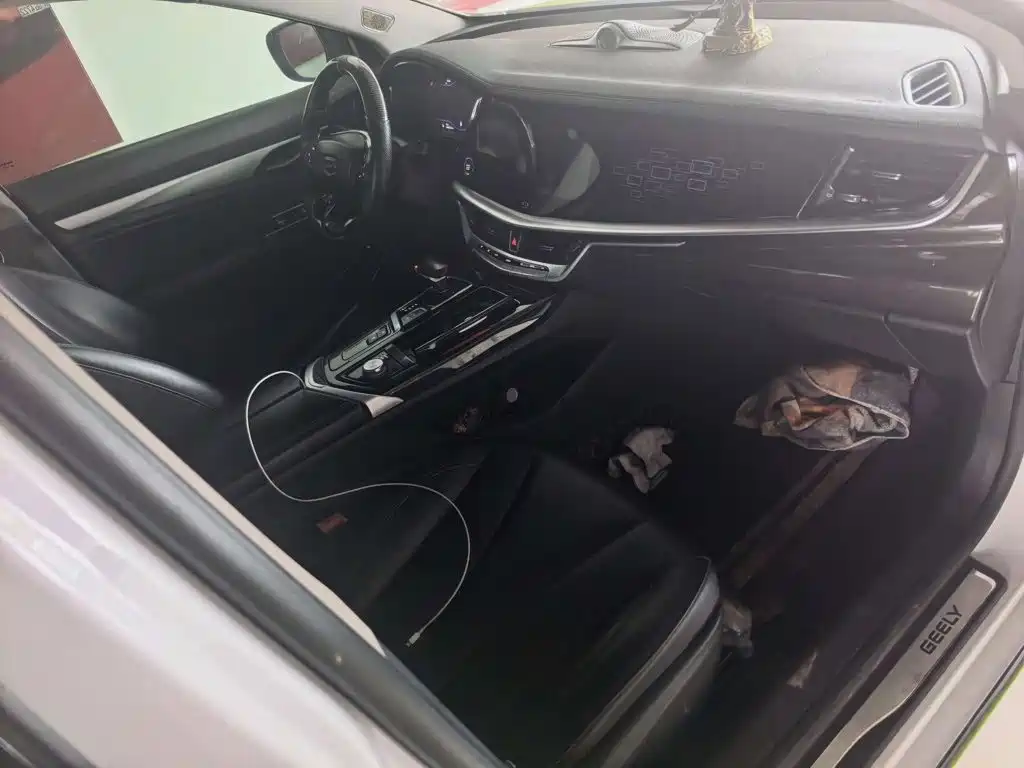 Geely Borui 2021 2021 1.8T Pilot Edition
