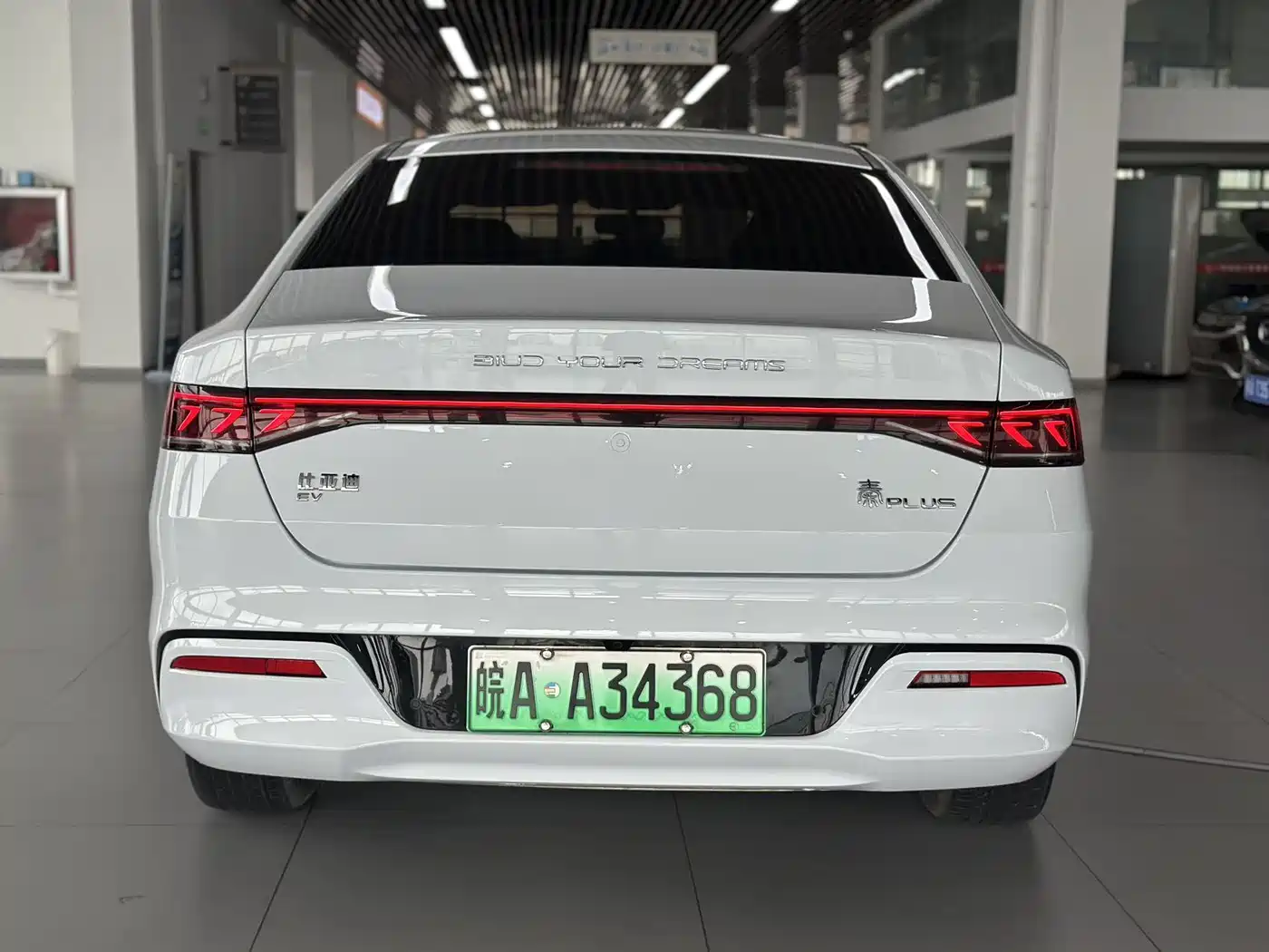 BYD Qin PLUS 2023 Champion Edition EV 420KM Leading Type фото 6