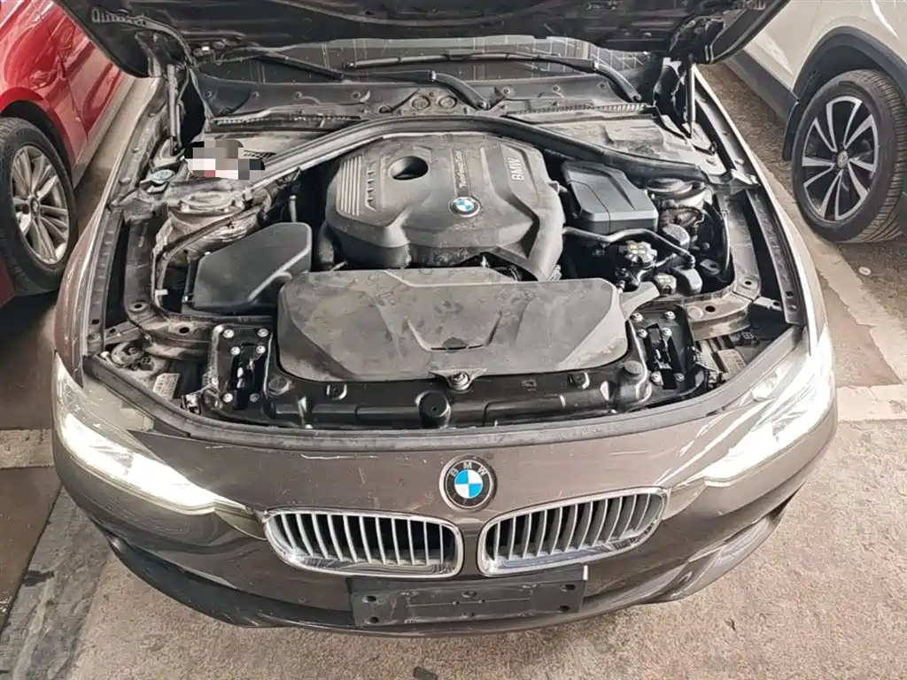 BMW 3 Series 2018 320Li Fashion Style фото 20