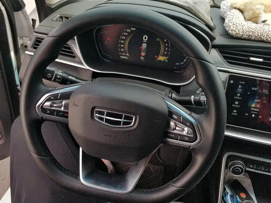 GEELY AUTOMOBILE BINRUI