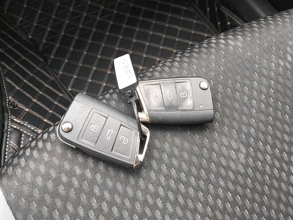 Volkswagen Tanying 2024 2023 Model 200TSI DSG Joy Smart Connect Edition