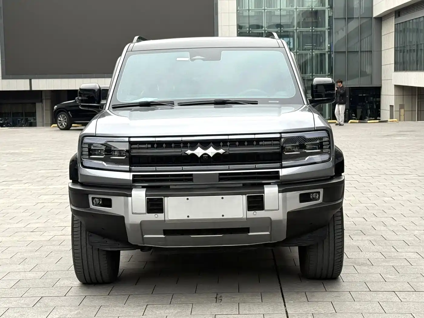 FANG CHENG BAO LEOPARD 5