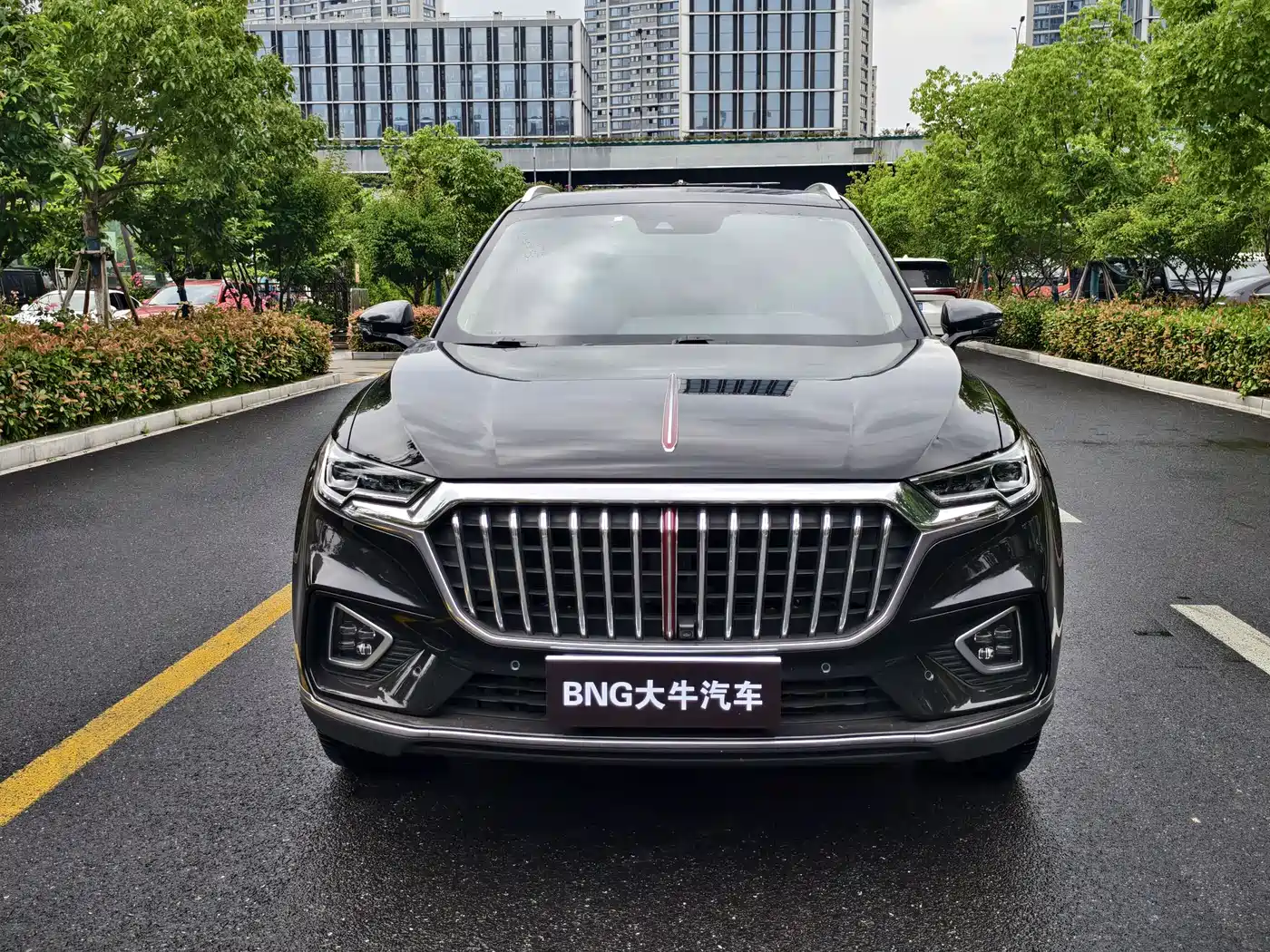 Hongqi HS5 2019 2.0T Intelligent Flagship 4WD Version фото 2