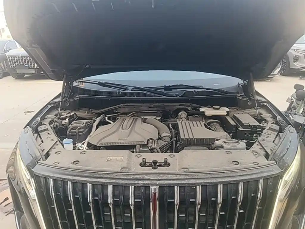 صورة 20 - Hongqi HS7 PHEV