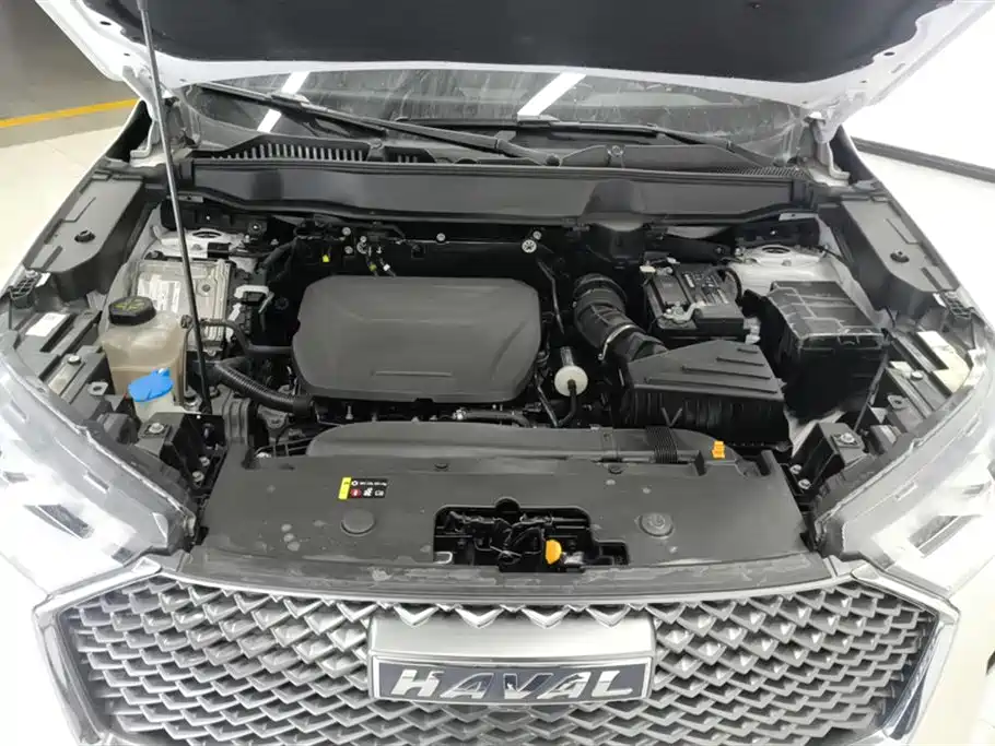 Haval H6 2022 3rd Gen 1.5T Auto 2WD Max фото 10