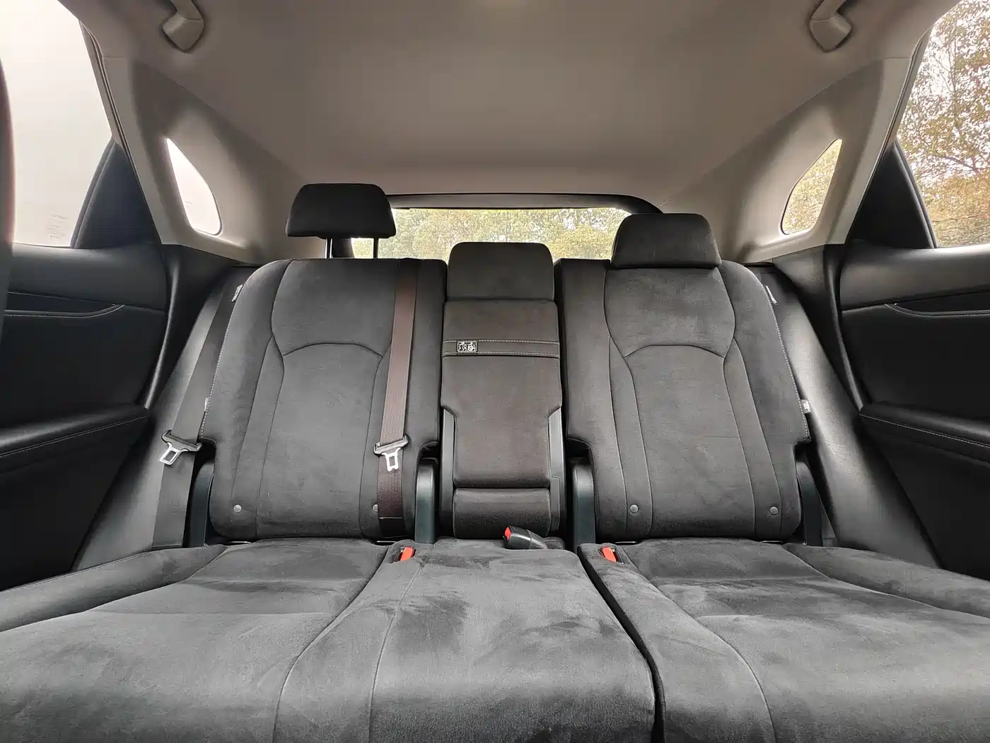 Lexus RX 2020 300 2WD Elite Edition China VI фото 23