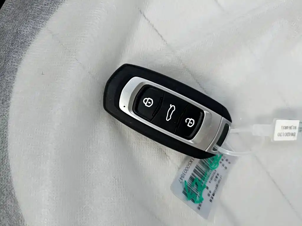 Ruilan Auto Ruilan Blue Elf 2026 2025 Base Model