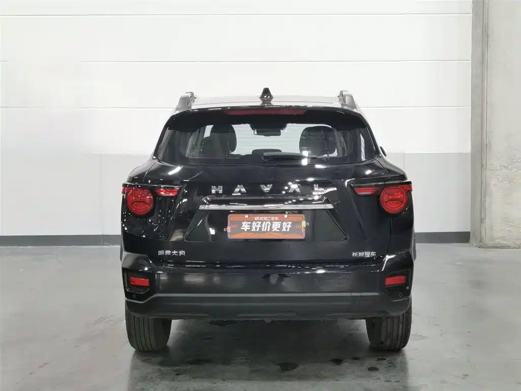 HAVAL BIG DOG PLUS