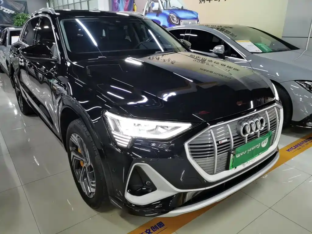 Audi e-tron 2022 2021 50 quattro Exclusive Selection