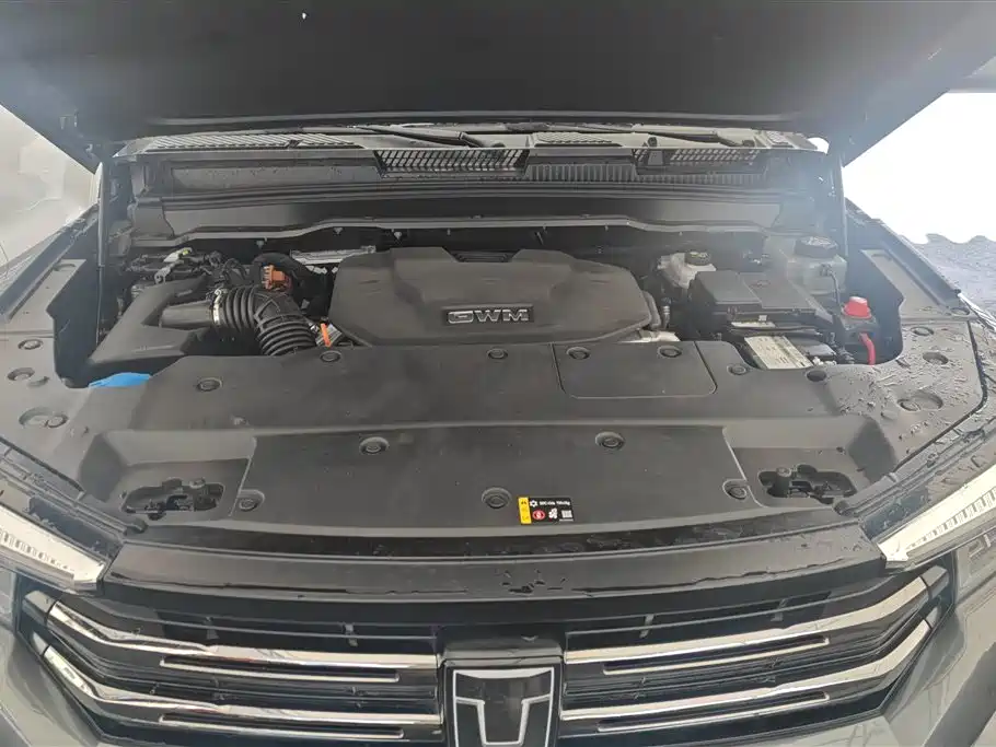 Tank 400 New Energy 2024 Hi4-T Off-Road Edition фото 10
