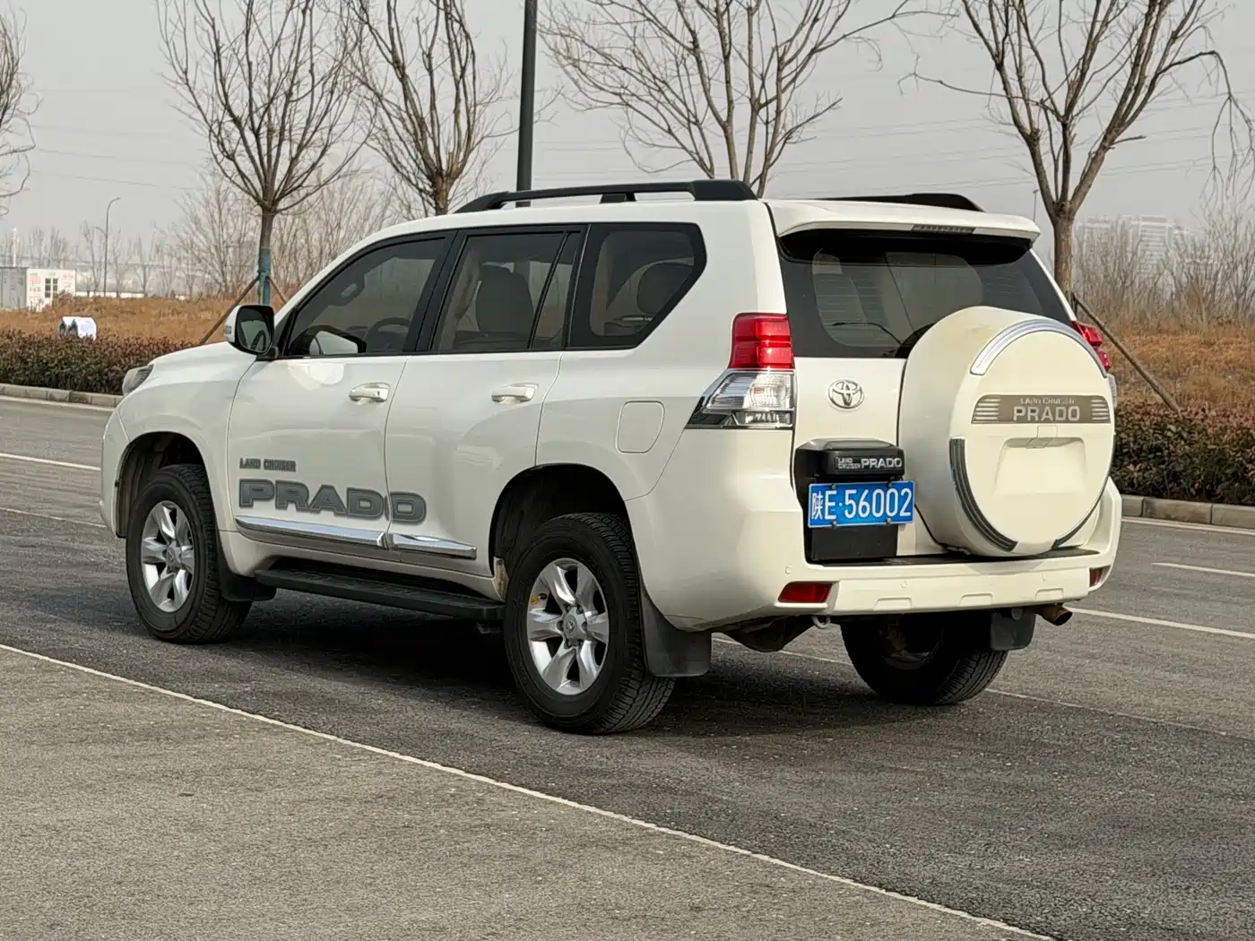 Toyota Prado (Import) 2010 2.7L Auto Luxury фото 7