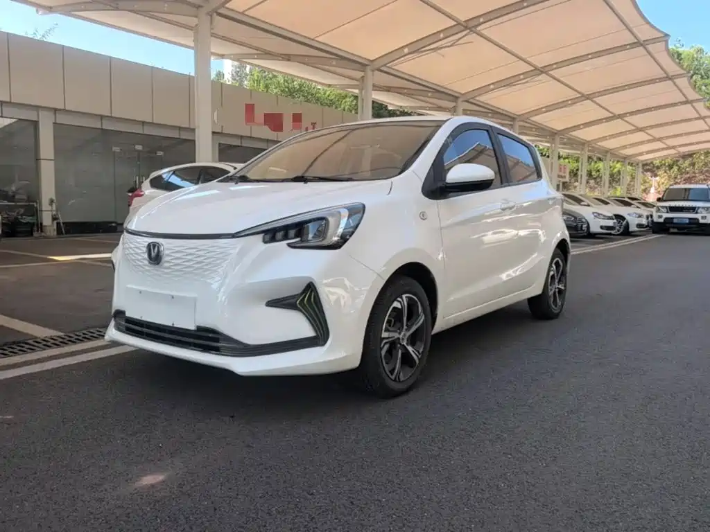Photo 1 - Changan Benben E-Star