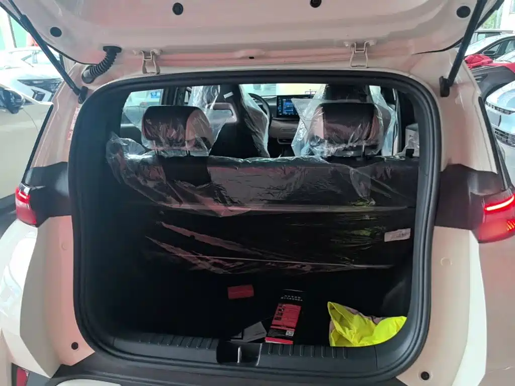 BYD Seagull 2026 2025 Smart Drive Edition 305km Vitality Version