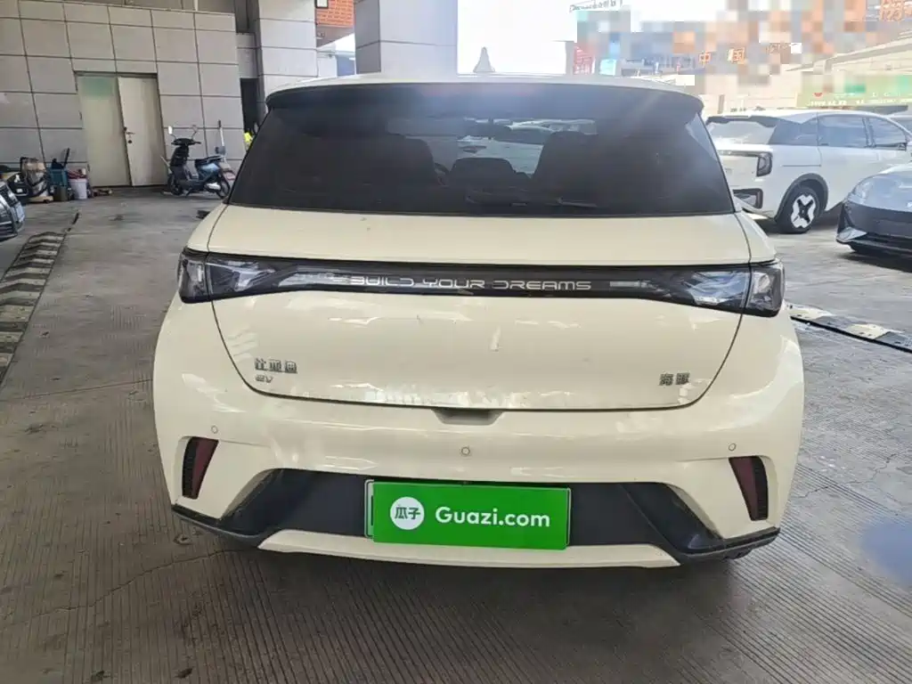 BYD Dolphin 2026 2025 420km Freedom Edition