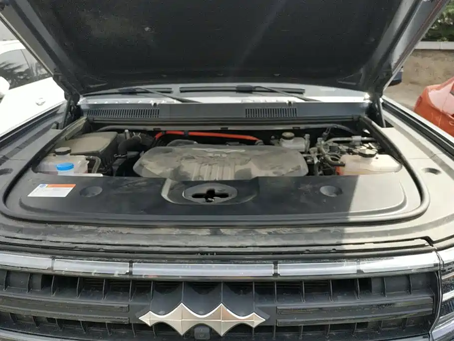 FANG CHENG BAO LEOPARD 5