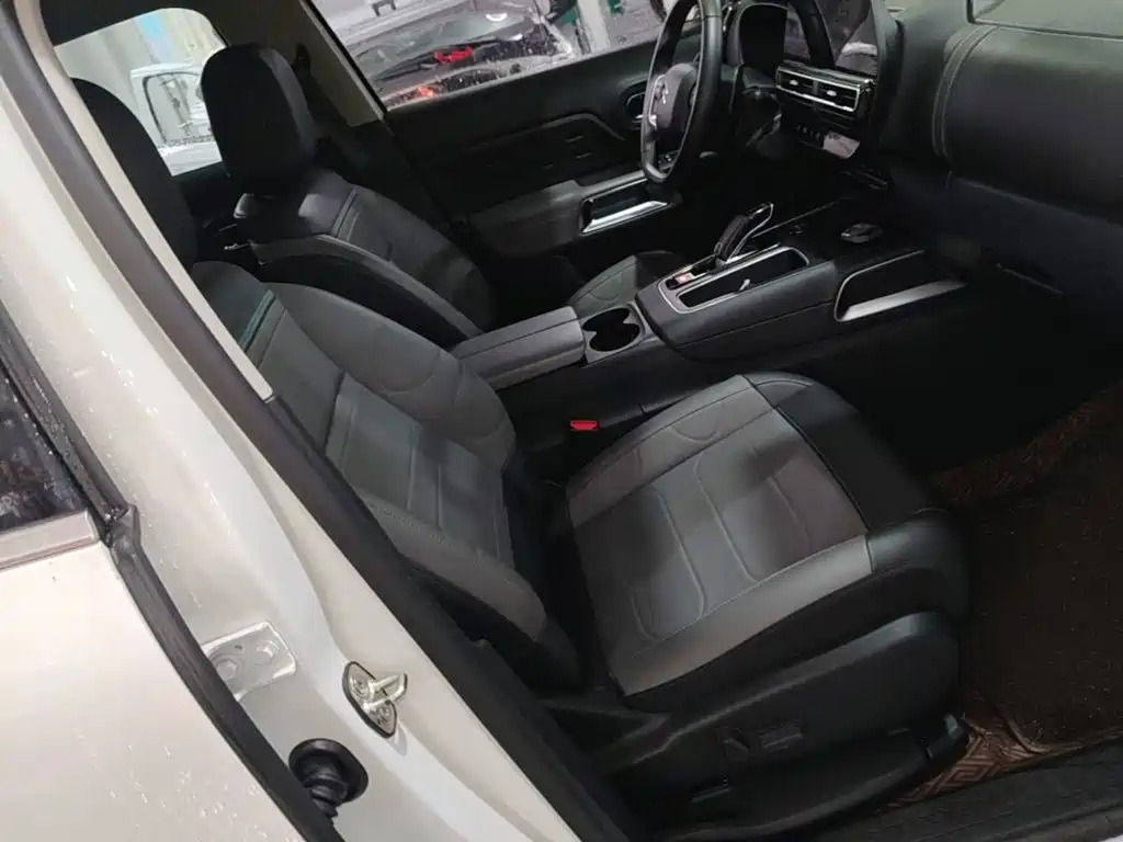 Фото 25 - Citroën Tianyi C5 AIRCROSS