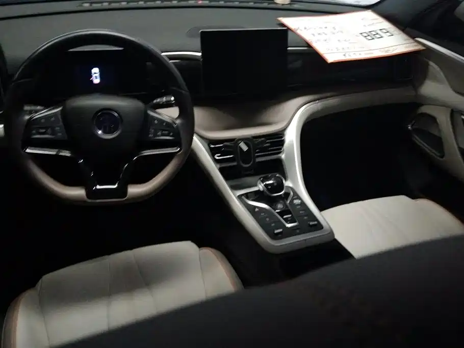 BYD Song Pro New Energy 2024 Glory Edition DM-i 71KM Surpassing фото 12