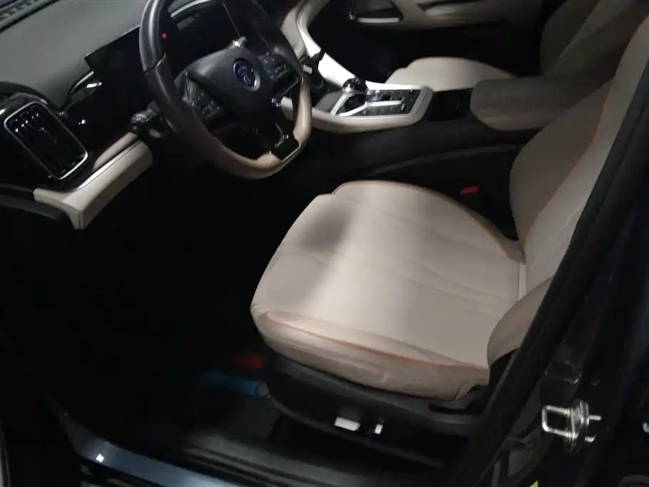 BYD Song Pro New Energy 2024 Glory Edition DM-i 71KM Surpassing фото 9