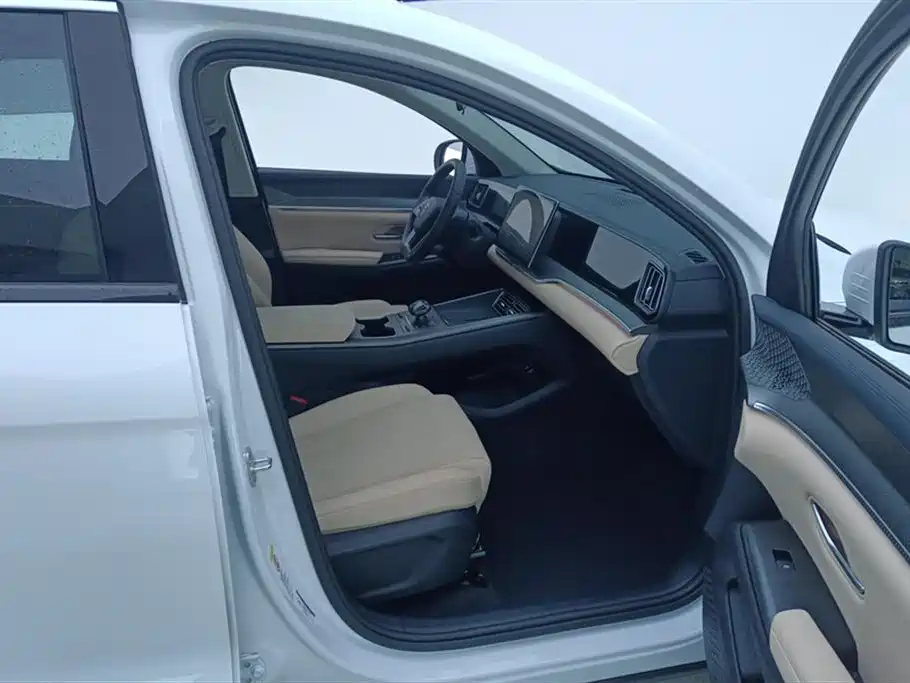 BYD SONGJIANG NEW ENERGY