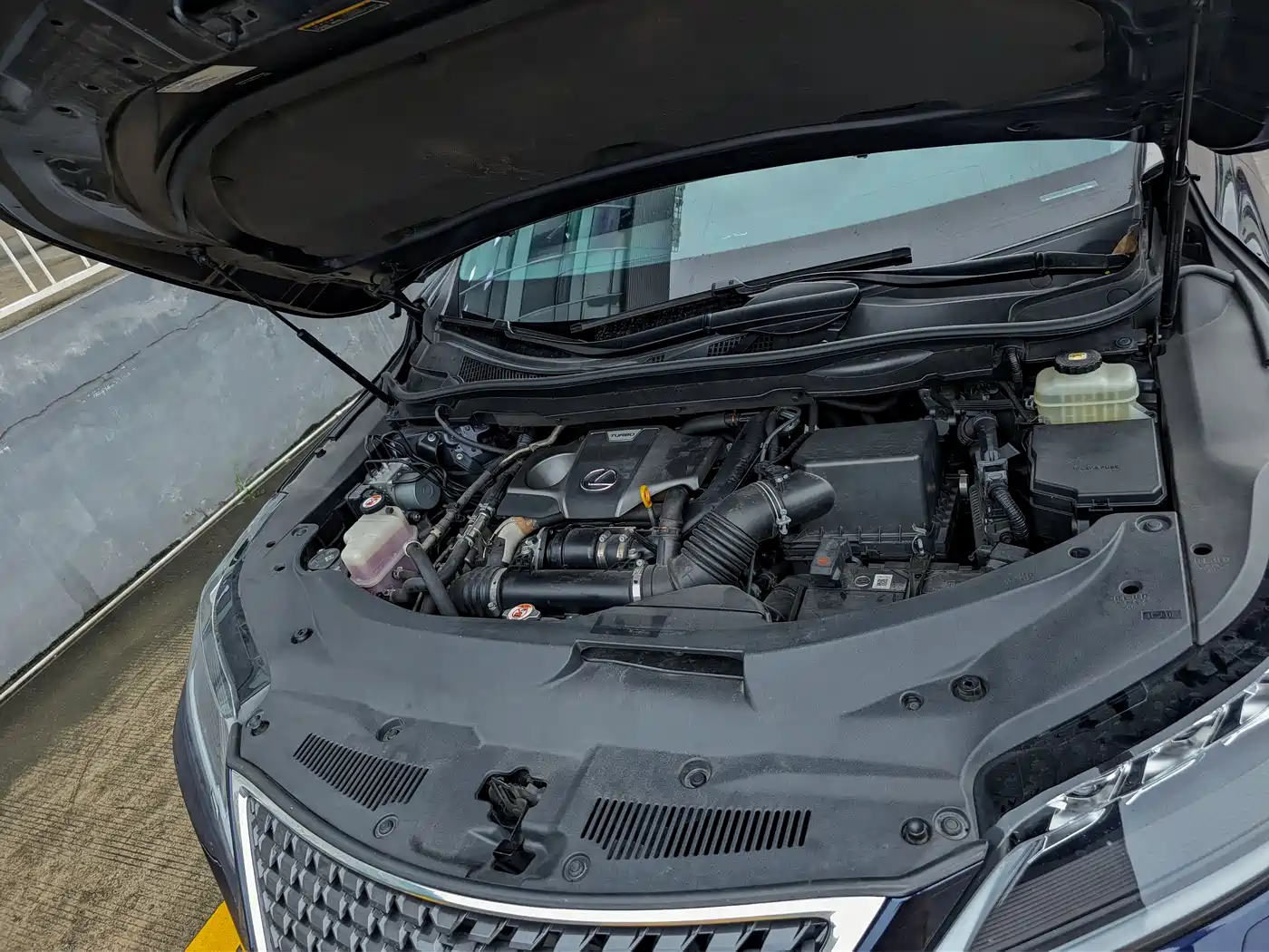 LEXUS RX