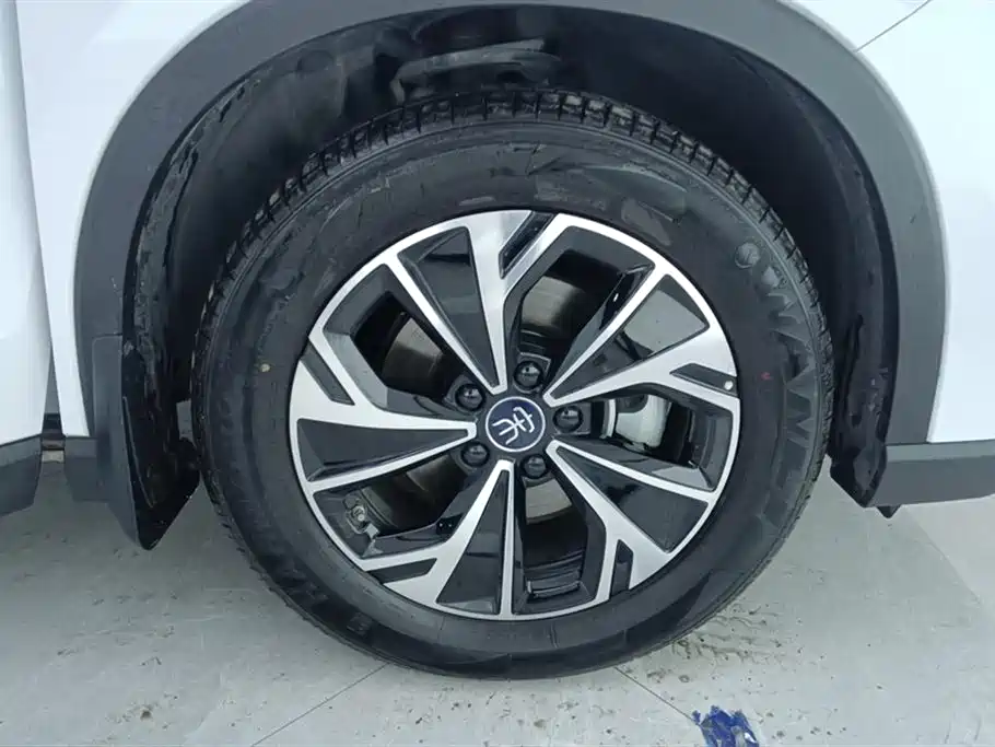 BYD SONGJIANG NEW ENERGY