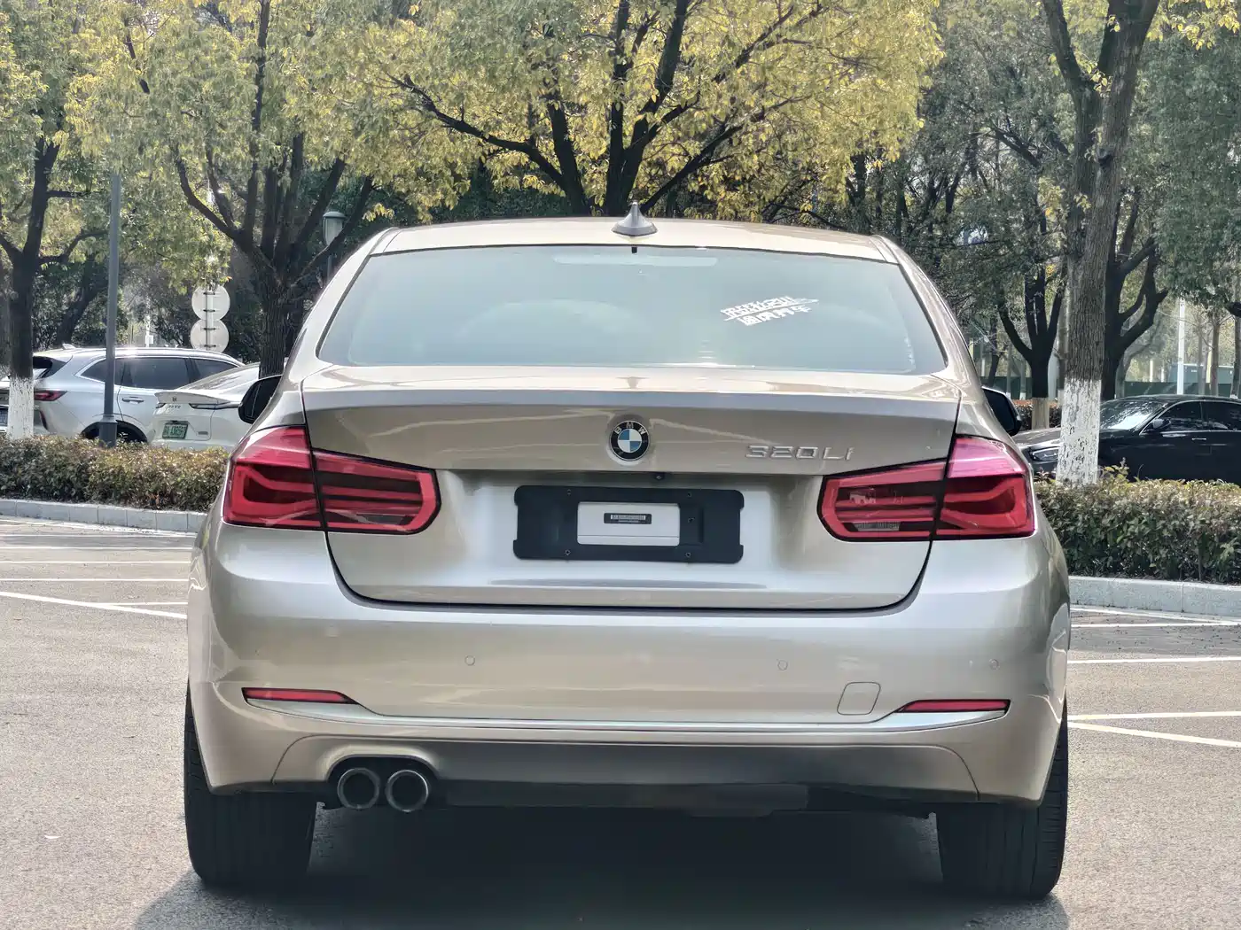 BMW 3 Series 2018 320Li Leading Luxury Package фото 3
