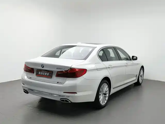 BMW 5 Series 2019 530Li xDrive Luxury Package — фото 2