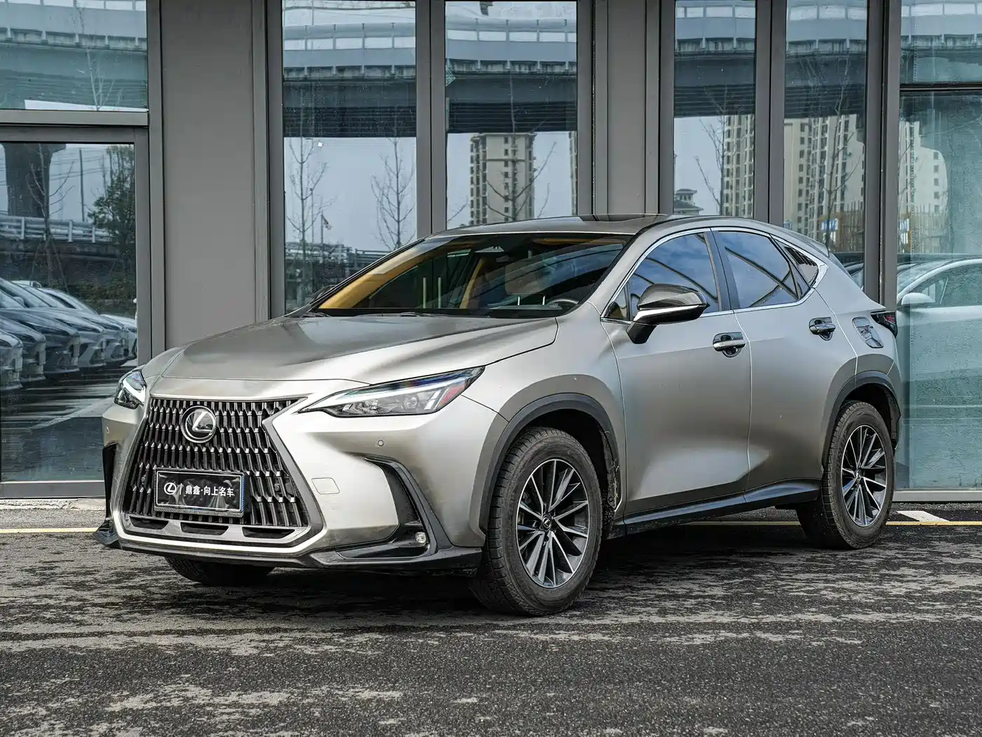 LEXUS NX