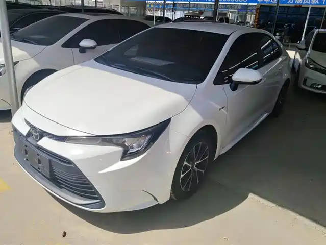 TOYOTA LEI LING 2025