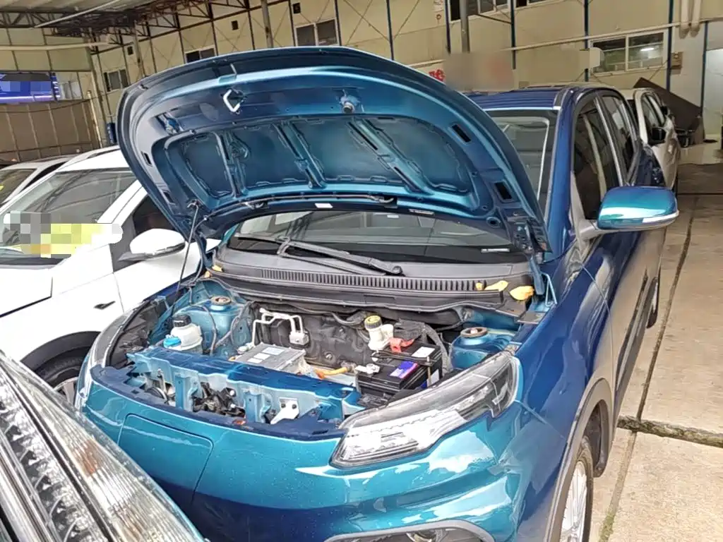 Dayun Yuehu 2022 2022 30.66kWh 2WD Standard Edition