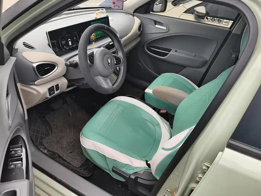 Ora White Cat 2021 2022 Upgraded 305km Luxury (NMC)