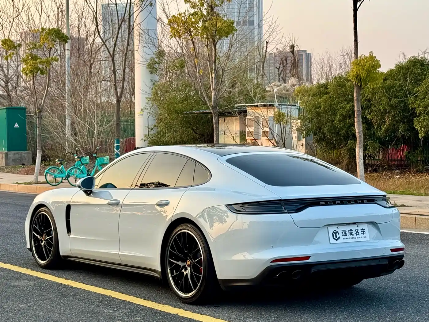 Porsche Panamera 2023 Panamera 2.9T Platinum Edition фото 7