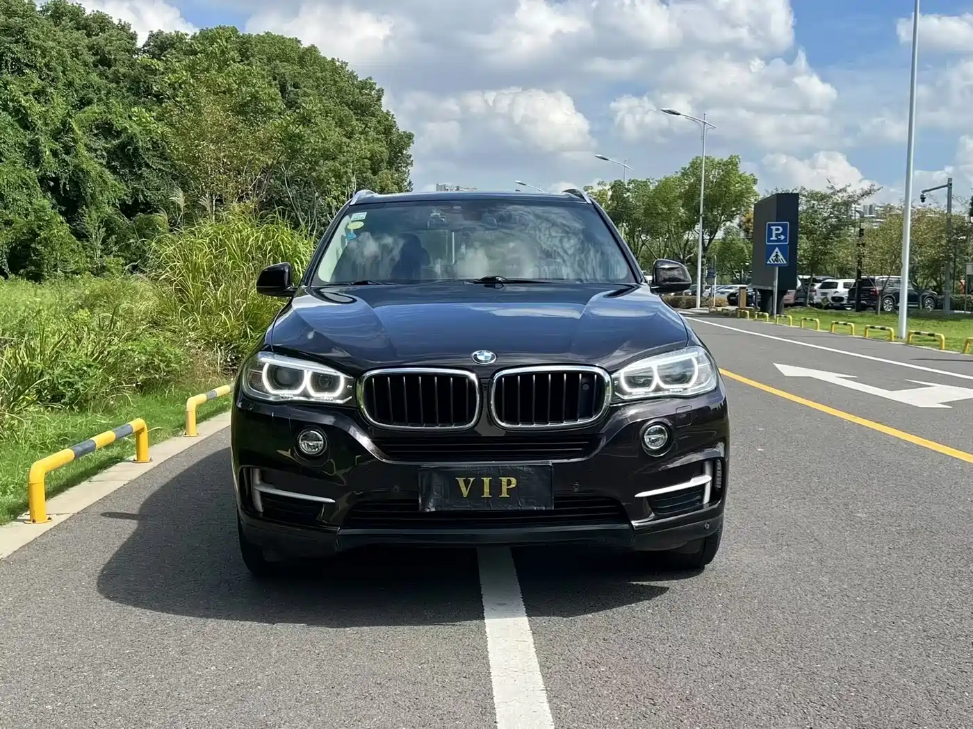 BMW X5 (Import) 2014 xDrive35i Luxury фото 2
