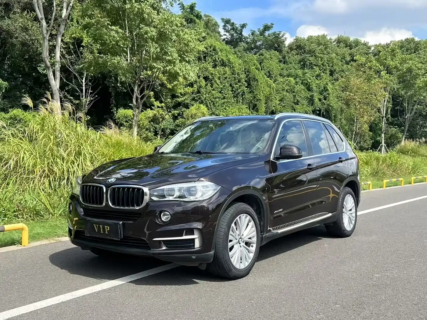 BMW X5 (Import) 2014 xDrive35i Luxury
