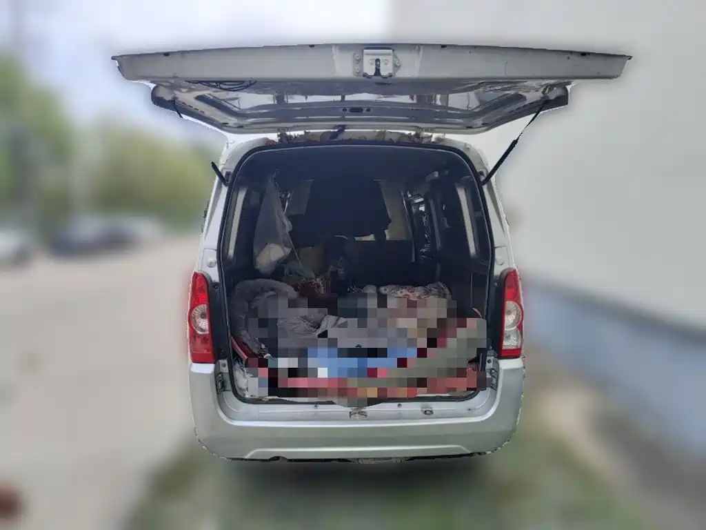 Wuling Motors Wuling Rongguang 2020 2019 1.5L extended van basic model 2 seats