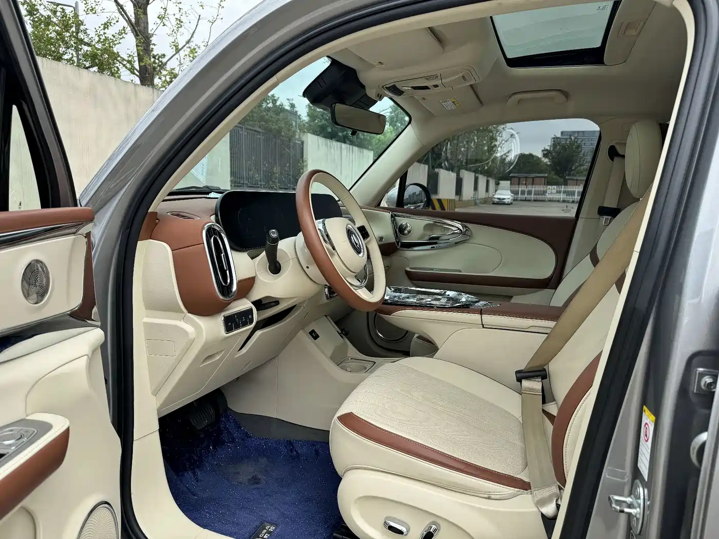 Ora Ballet Cat 2023 2023 401km Premium Model