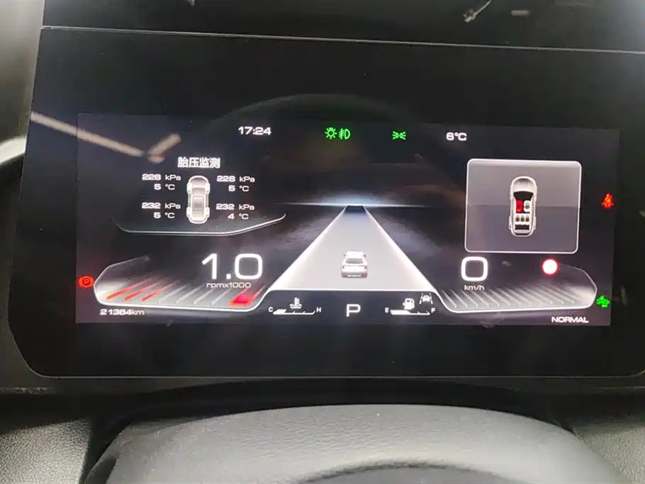Haval Big Dog 2024 1.5T DCT Border Collie Edition фото 14