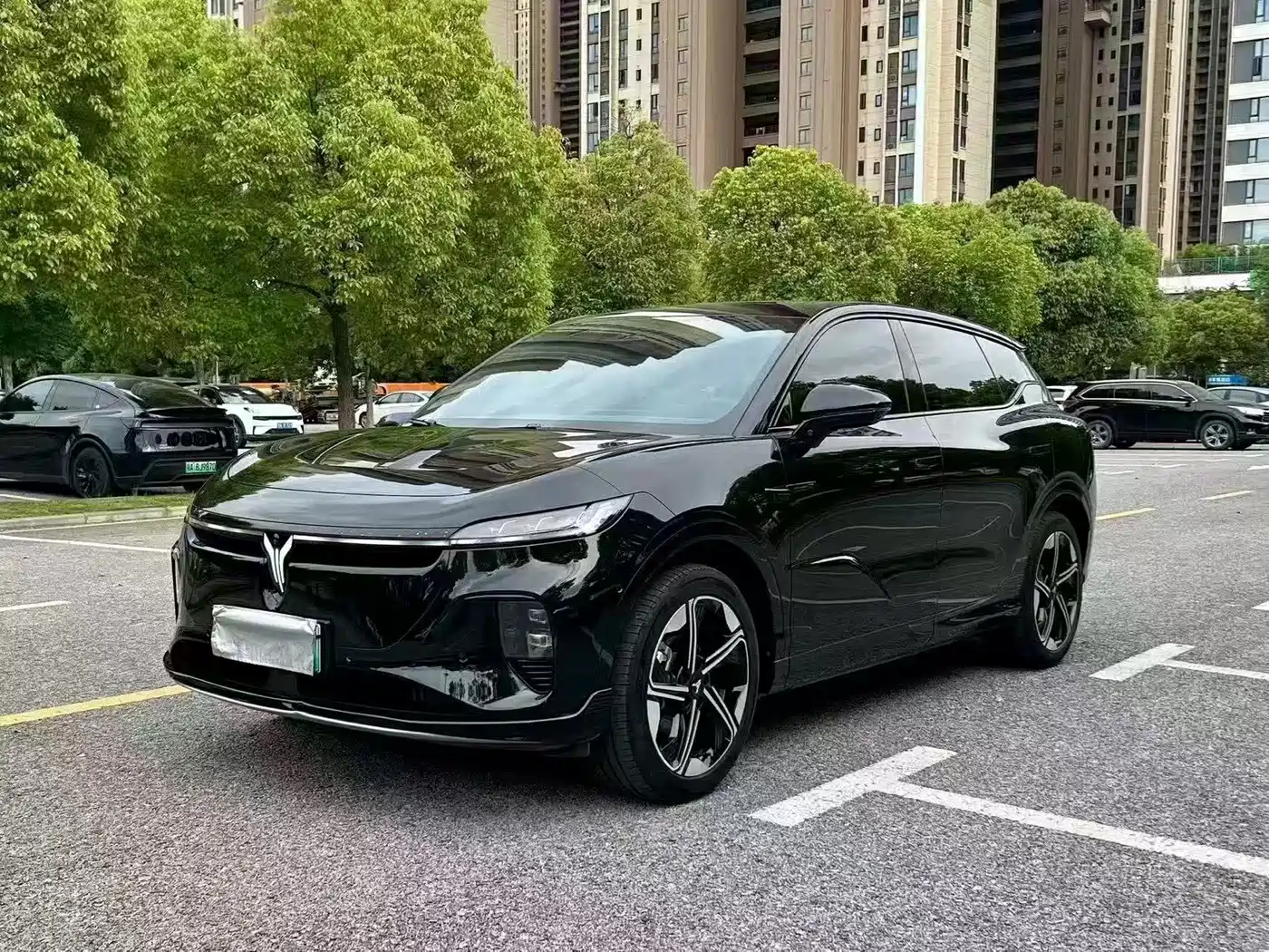 Voyah Auto Voyah Zhiyin