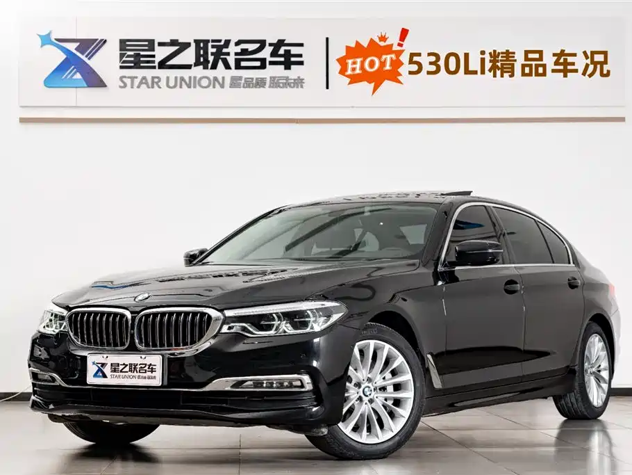 BMW 5 Series 2020 530Li Premium Luxury Package