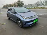 Фото 4 - BYD Dolphin