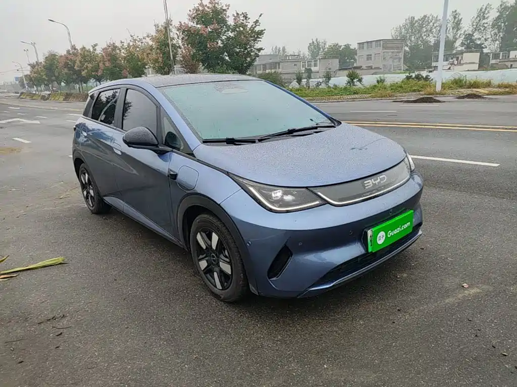 Фото 4 - BYD Dolphin