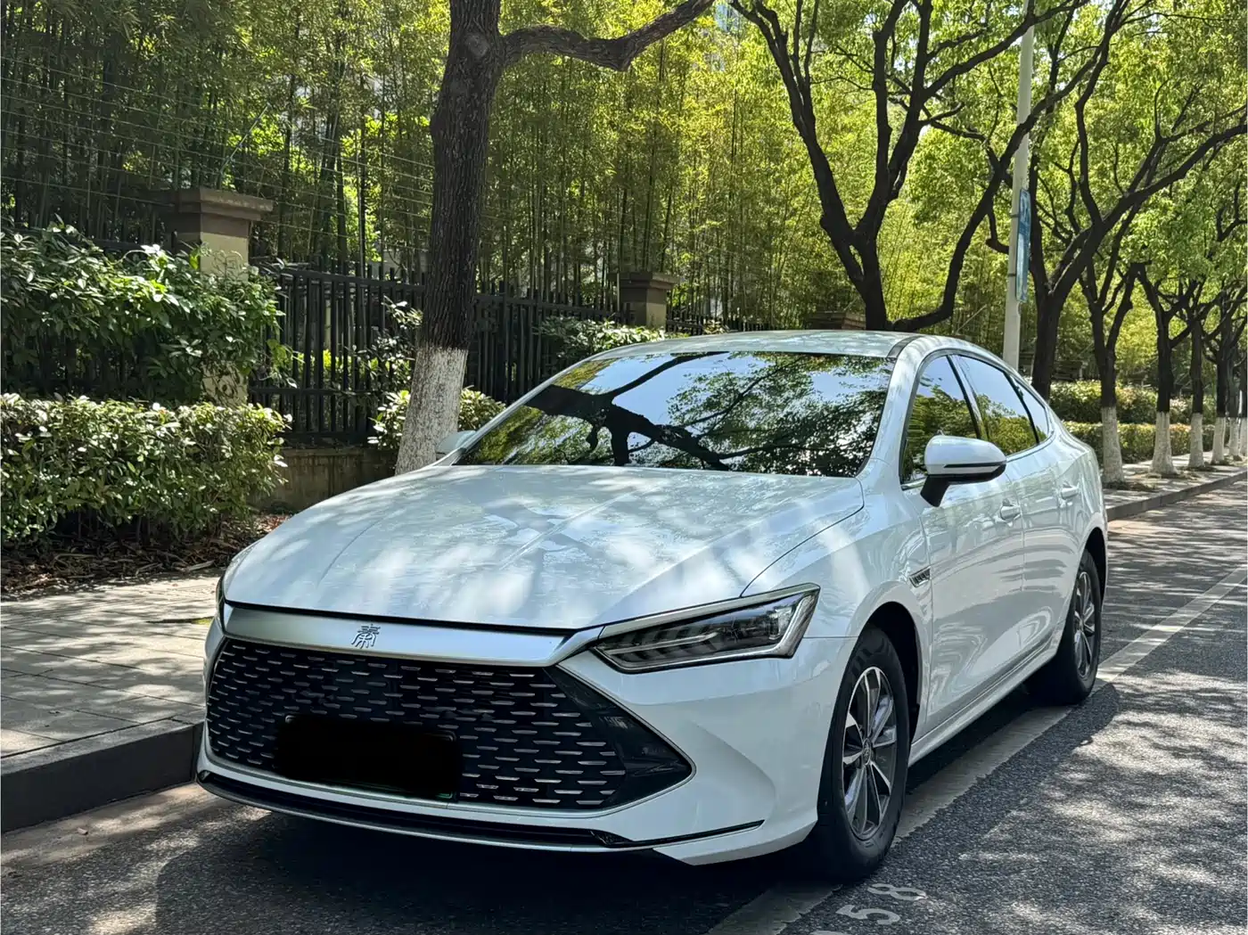 BYD Qin PLUS 2024 Glory Edition DM-i 55KM Leading
