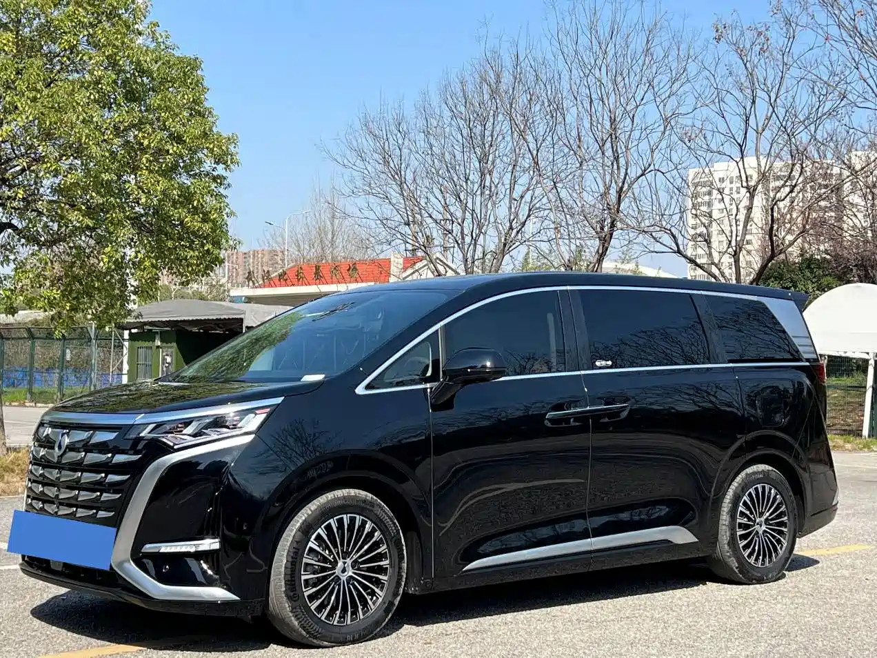 DENZA D9