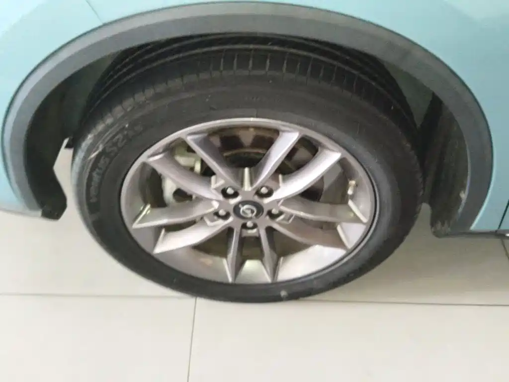 Фото 23 - Haima 7X
